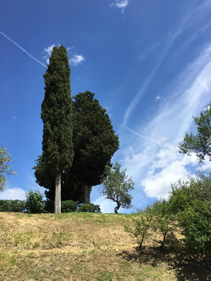 Albergo Le Sorgenti Chianciano Terme Exteriör bild