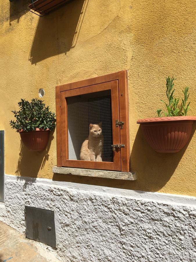Albergo Le Sorgenti Chianciano Terme Exteriör bild